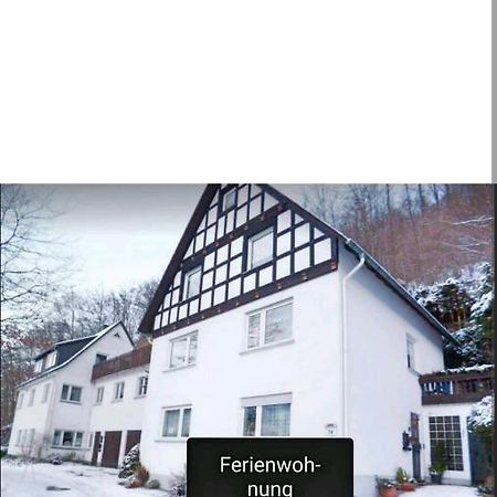 4 Erw. 1 Ki. Ski Entspannung Terasse Ausblick Schmallenberg Esterno foto