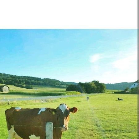 4 Erw. 1 Ki. Ski Entspannung Terasse Ausblick Schmallenberg Esterno foto